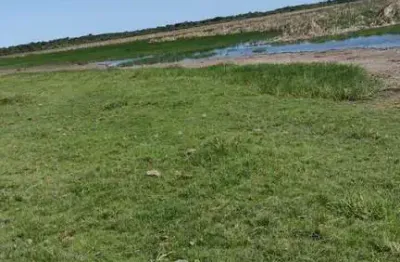 Fazenda à venda no Centro, Campos dos Goytacazes 