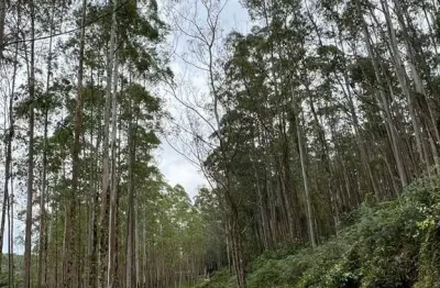 Fazenda à venda no Centro, Sorocaba 