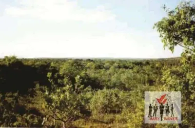 Fazenda à venda no Centro, Pintópolis 