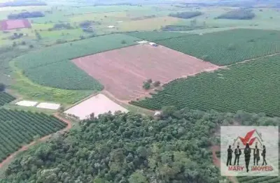 Fazenda à venda no bairro centro - fernandópolis/sp
