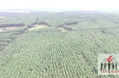 Fazenda à venda no Centro, Coromandel 