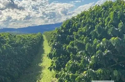 Fazenda à venda no Centro, Claraval 