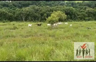 Fazenda à venda no Centro, Campos dos Goytacazes 