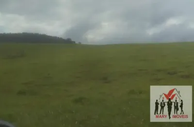 Fazenda à venda no Centro, Caconde 