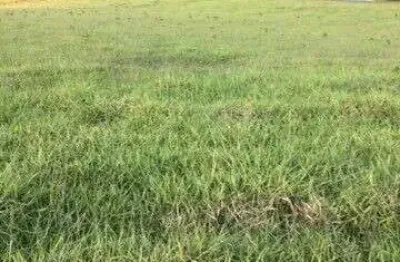 Fazenda à venda no bairro vila ramos - pouso alegre/mg