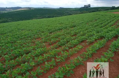 Fazenda à venda no Centro, Cruzília 