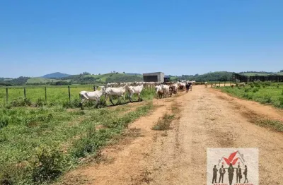 Fazenda à venda no Centro, Pouso Alegre 