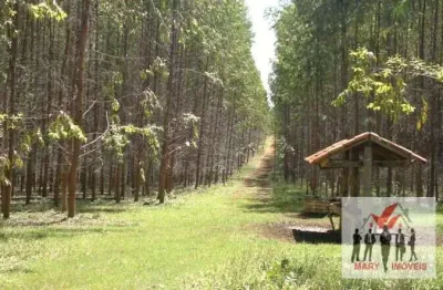 Fazenda à venda no bairro área rural de unaí - unaí/mg
