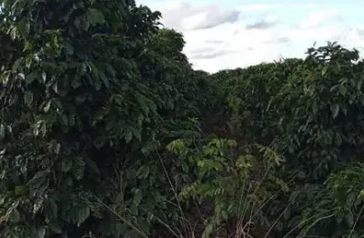 Fazenda à venda no Centro, Campestre 