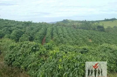 Fazenda à venda no Centro, Caconde 