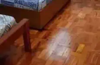 Apartamento para alugar no bairro jardim dos estados - poços de caldas/mg
