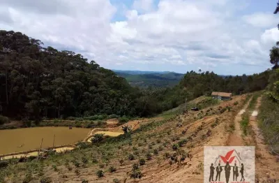 Chácara / sítio à venda no Centro, Santa Maria de Jetibá 