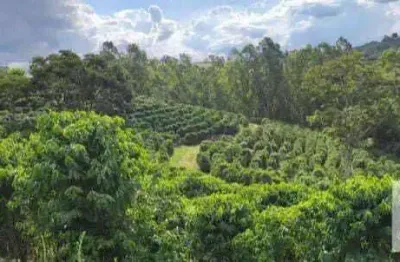 Chácara / sítio à venda no Centro, Botelhos 