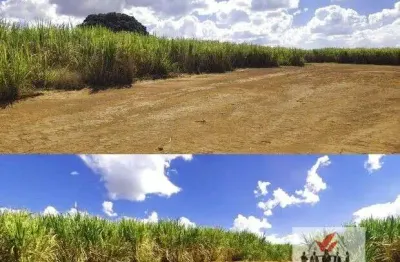 Chácara / sítio à venda no Centro, Cajuru 