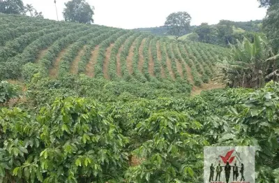 Chácara / sítio à venda no Centro, Campestre 