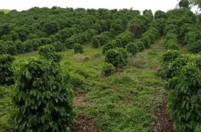 Chácara / sítio à venda no Centro, Caldas 