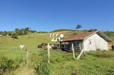 Chácara / sítio com 3 quartos à venda no Centro, Leoberto Leal 