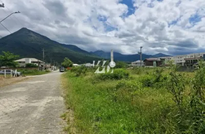 Terreno à venda na Rua Luiza Amaro da Silva, 4420, Guarda do Cubatão, Palhoça