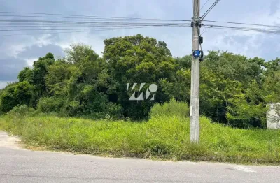 Terreno à venda na Avenida Nielsen Ubiratã Delfino José, 0,00, Bela Vista, Palhoça