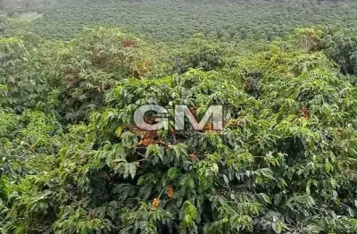 Chácara / sítio à venda na Zona Rural, Caconde 