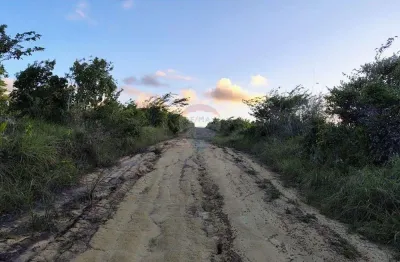 Terreno à venda na Praia Bela, Pitimbu 