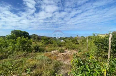 Construa seu sonho na paraia de tabatinga - terreno perfeito: 450m² em tabatinga, paraíba