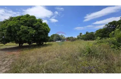 Terreno à venda na Praia do Amor, Conde 
