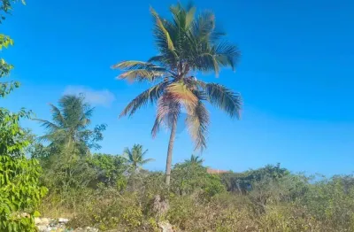 Terreno à venda no Carapibus, Conde 