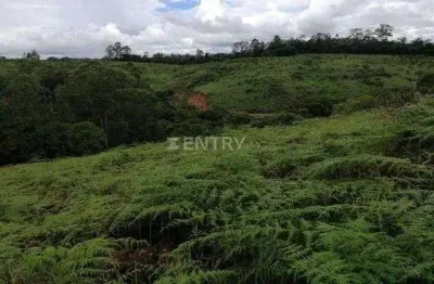 Terreno residencial / 5.000 metros/ residencial são domingos