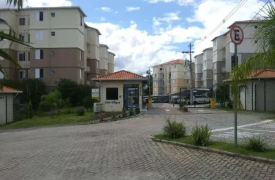 Apartamento com 3 dormitórios à venda, 55 m² por r$ 315.000,00 - parque jambeiro - campinas/sp