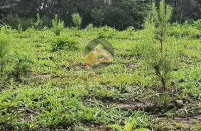 Terreno à venda em Três Córregos, Campo Largo 