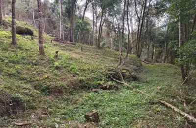 Chácara / sítio à venda na monte belo, guabiroba, campo largo por r$ 350.000