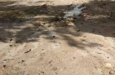 Terreno para venda em caraguatatuba, balneário dos golfinhos