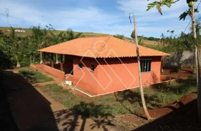 Chácara / sítio com 3 quartos à venda na Rod Joao Alves Da Rocha Loures, 101, Usina, Londrina