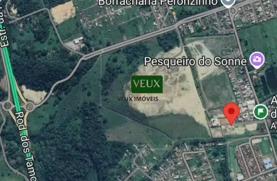 Excelente área para locação pegorelli, caraguatatuba-sp área possui 8 mil metros