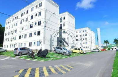 Apartamento com 2 dormitórios à venda, 41 m² por r$ 195.000,00 - cidade universitária - maceió/al