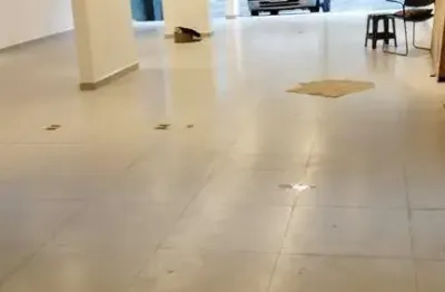 Sala comercial para alugar em Moema, São Paulo 