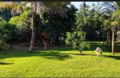 Chácara / sítio com 3 quartos para alugar no Sítios de Recreio Letícia (Padre Nóbrega), Marília 