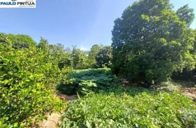 Terreno de 6.000m com pomar formado por mais de 200 espécies no condomínio vale das laranjeiras