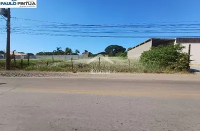 Terreno comercial localizado na avenida paulo de tarso martins (polo)