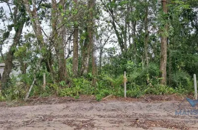 Terreno à venda, 420 m² por r$ 130.000,00 - pontal do sul - pontal do paraná/pr