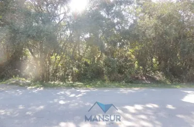 Terreno à venda, 345 m² por R$ 250.000,00 - Pontal do Sul - Pontal do Paraná/PR