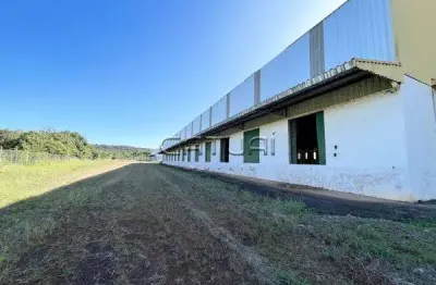 Barracao comercial para alugar - comercial conjunto habitacional jamile dequech, londrina