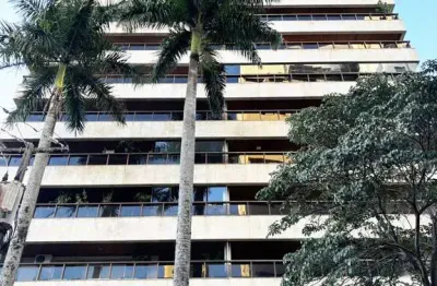 Apartamento com 4 quartos para alugar na Rua Piauí, 854, Centro, Londrina