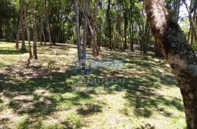 Sítio à venda na serra da cantareira, 3 quartos, mairiporã