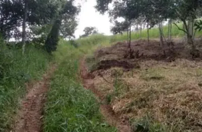 Rural sem benfeitorias área sem benfeitorias em são josé dos campos