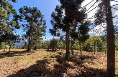 Fazenda à venda na Estrada Luminosa - São Bento Do Sapucaí, Gleba B, 7k2m0 13, Luminosa, Brazópolis
