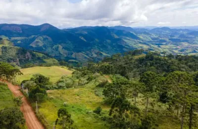 Fazenda à venda na Estrada Luminosa - São Bento Do Sapucaí, Gleba A, 7K2m0 13, Luminosa, Brazópolis