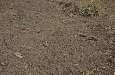 Terreno à venda na Rua Mastruz, 720, Chácaras Pousada do Vale, São José dos Campos