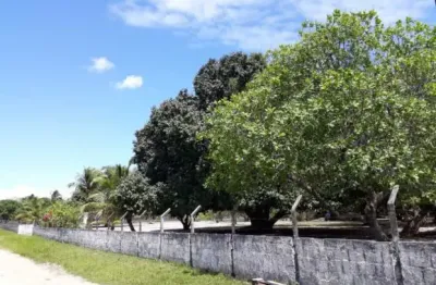 Ref: ter010 - granja à venda, joão pessoa, mumbaba, 2 hect., casa c/ 3 quartos